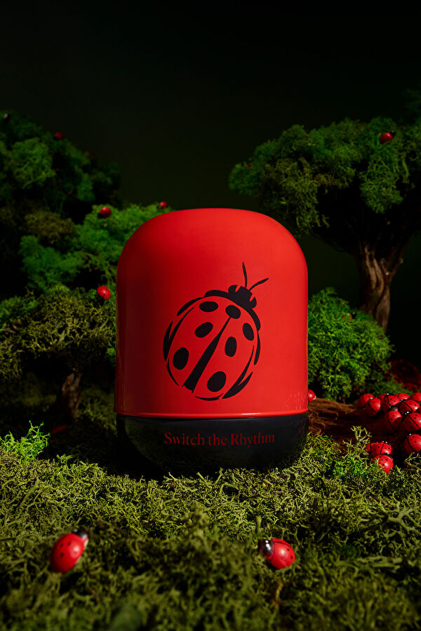Spirit Animal Ladybug's Luck 5