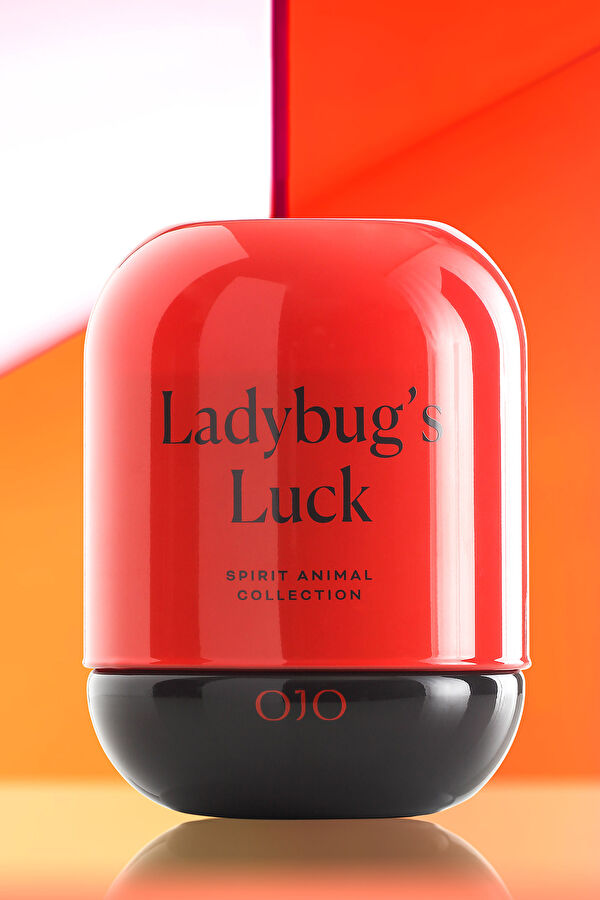 Spirit Animal Ladybug's Luck 6
