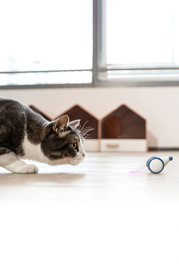 Mavi Şarjlı Akıllı İneraktif Kedi Fare Oyuncağı 6x5x3.6 cm 3