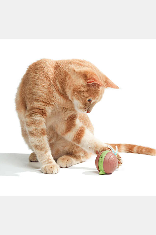 Kahverengi Şarjlı Akıllı İneraktif Kedi Salyangoz Oyuncağı 7x5x5.8 cm 2