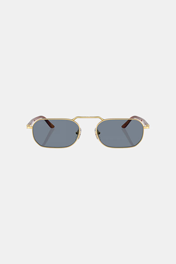 Po1020S Gold Light Blue Sunglasses