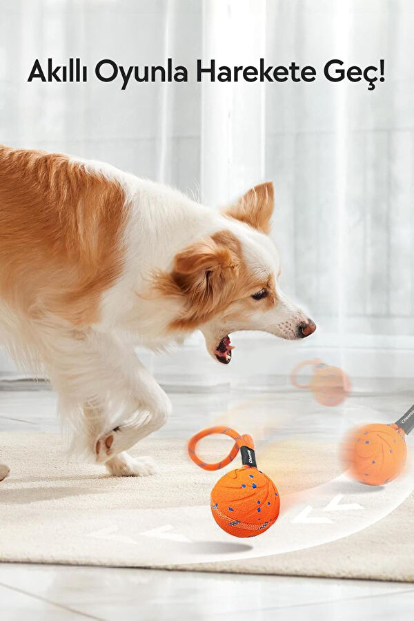 Turuncu Akıllı İnteraktif Köpek Oyuncağı İpli 3