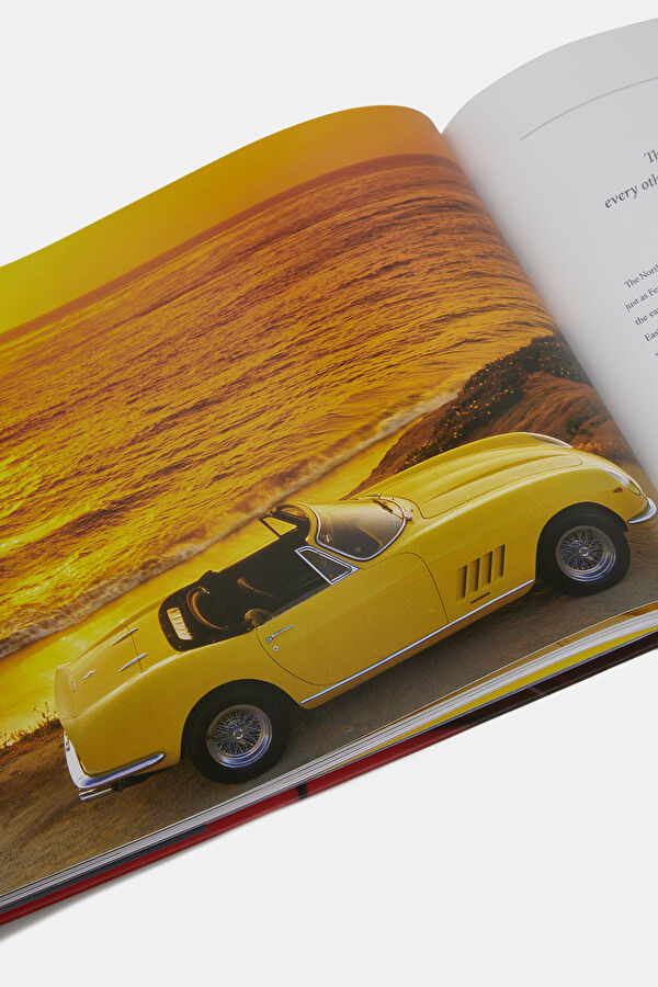 Ferrari 13
