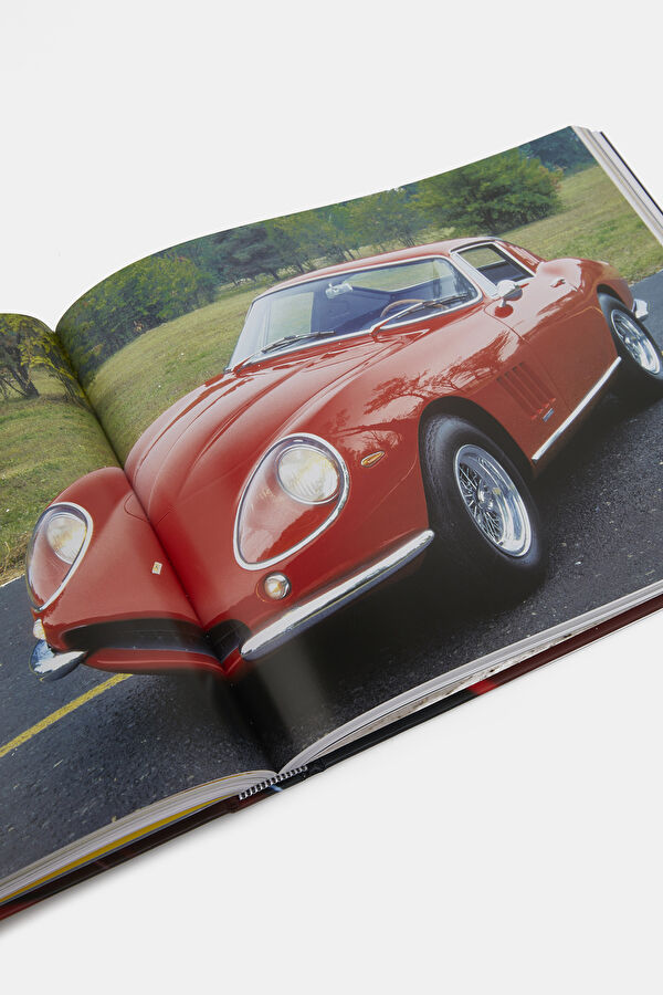 Ferrari 14