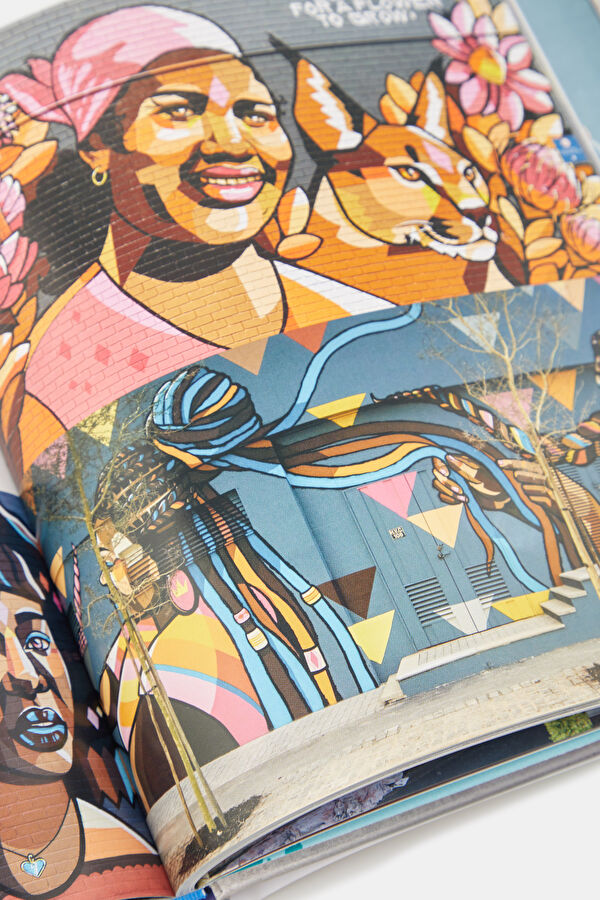 The World Atlas of Street Art 13