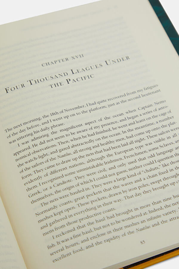 Twenty Thousand Leagues Under the Sea 6