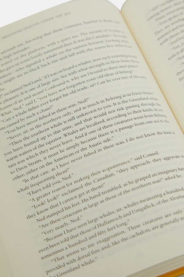 Twenty Thousand Leagues Under the Sea 7