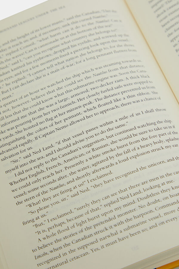 Twenty Thousand Leagues Under the Sea 8