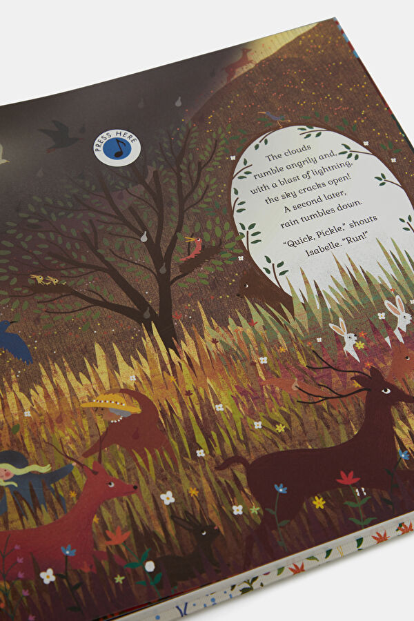 The Story Orchestra: Four Seasons in One 5