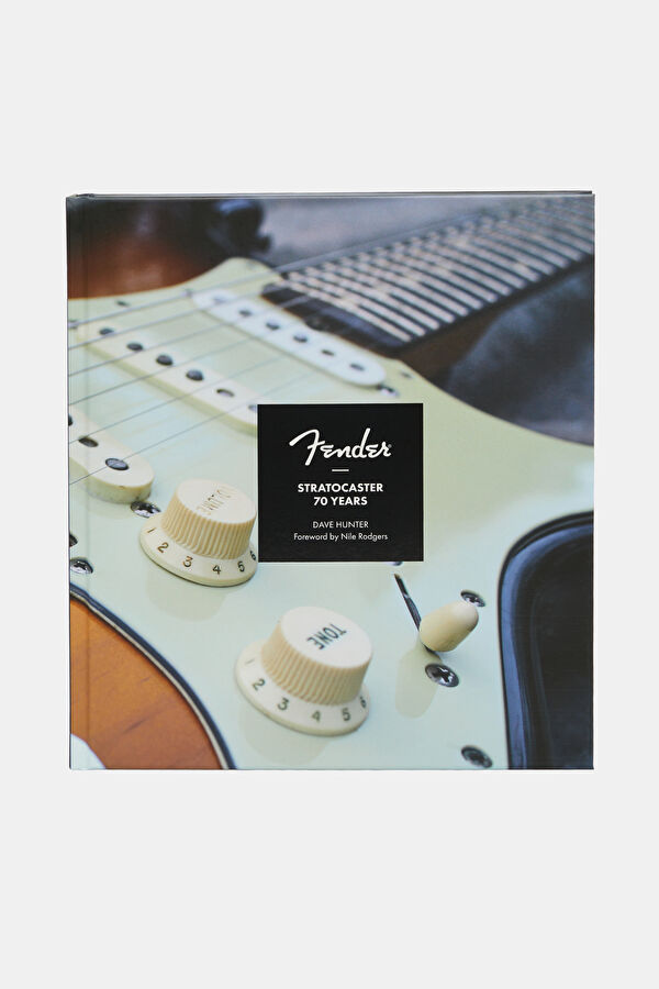 Fender Stratocaster 70 Years 2