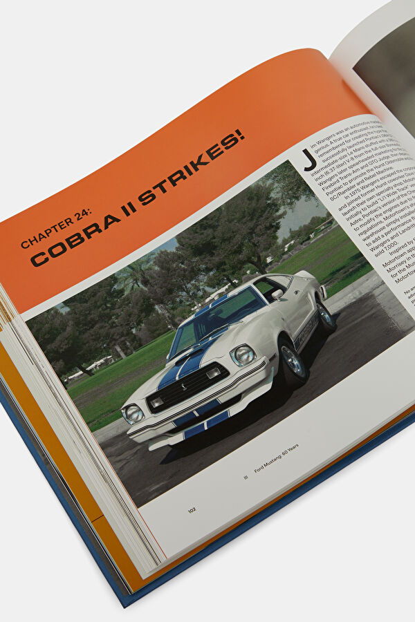 Ford Mustang 60 Years 6