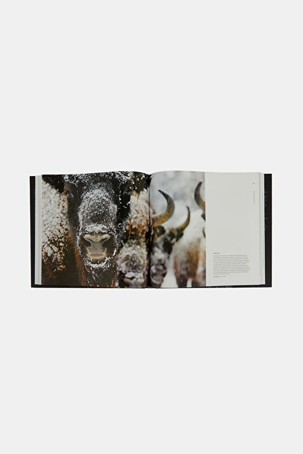 60 Years of Wildlife Photographer of the 5