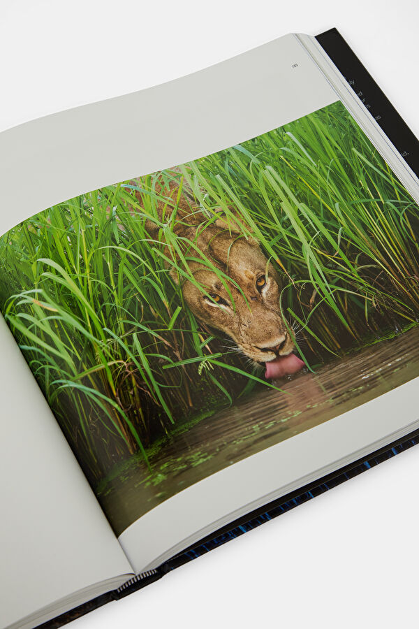 60 Years of Wildlife Photographer of the 7