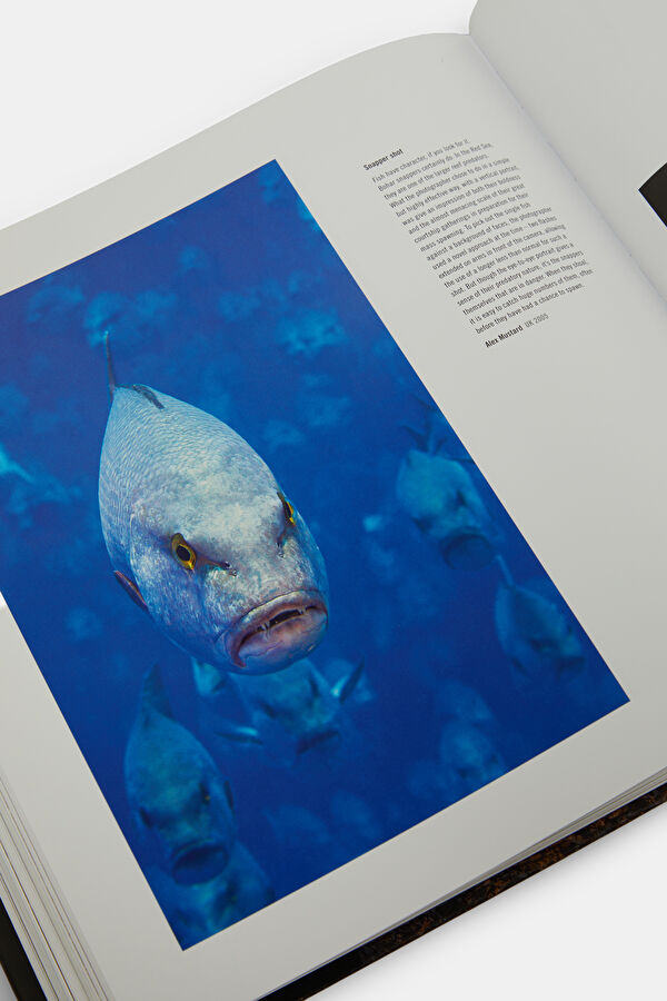 60 Years of Wildlife Photographer of the 8