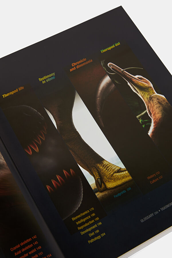 The Encyclopaedia of Dinosaurs 5