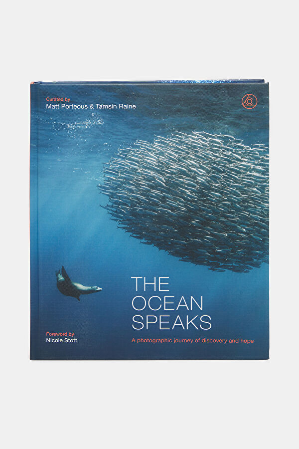 The Ocean Speaks