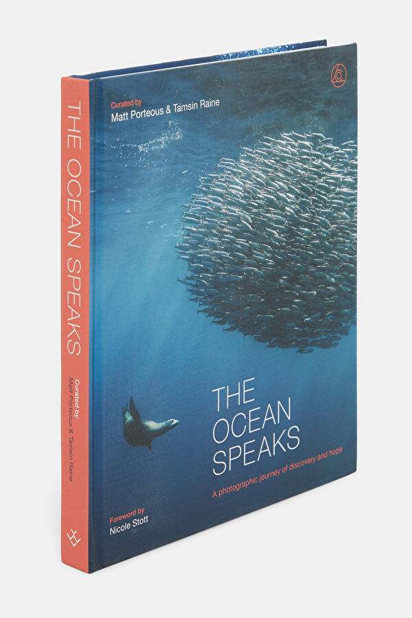 The Ocean Speaks 2