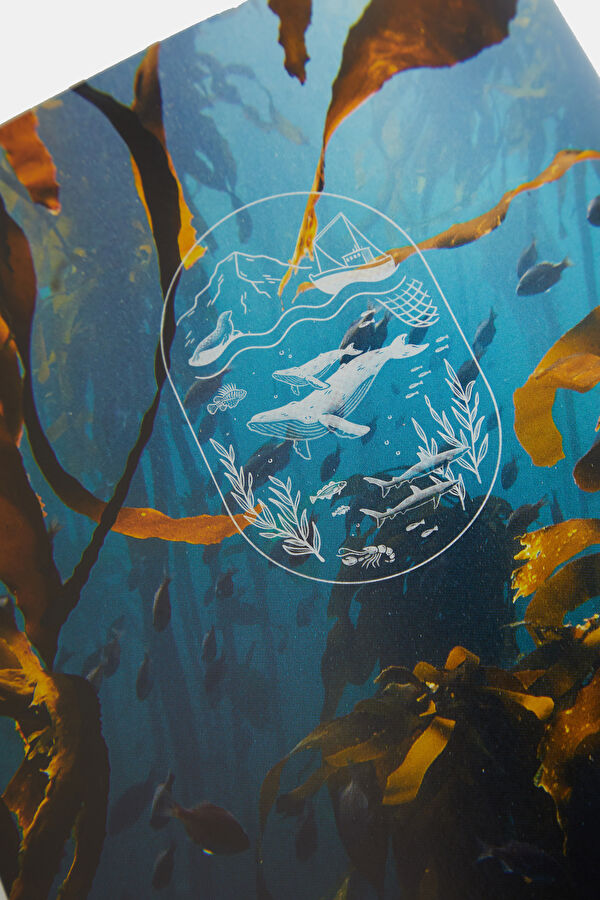 The Ocean Speaks 8