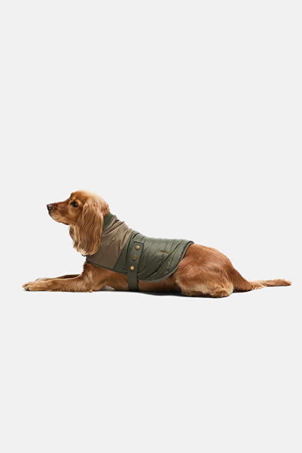 Brampton Kapitone Köpek Montu M