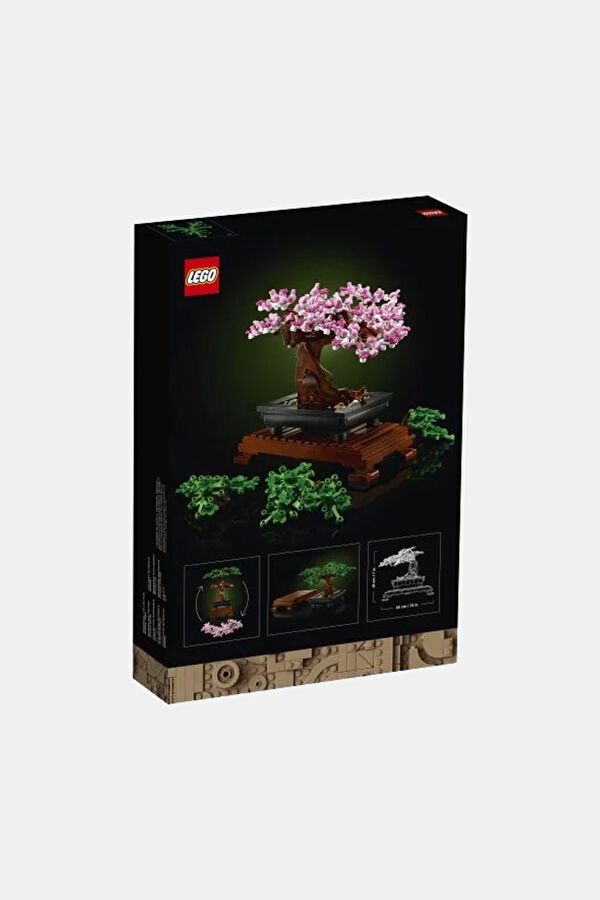Bonsai Ağacı LAD10281 2