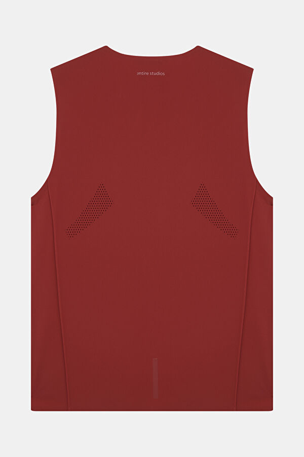 X Entire Studios D4T Training Burgundy Men's Tank Top 2