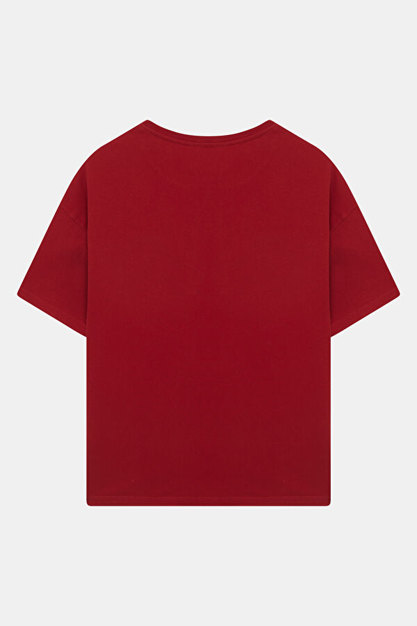 Relax Kalıp Kırmızı Erkek T-Shirt 2