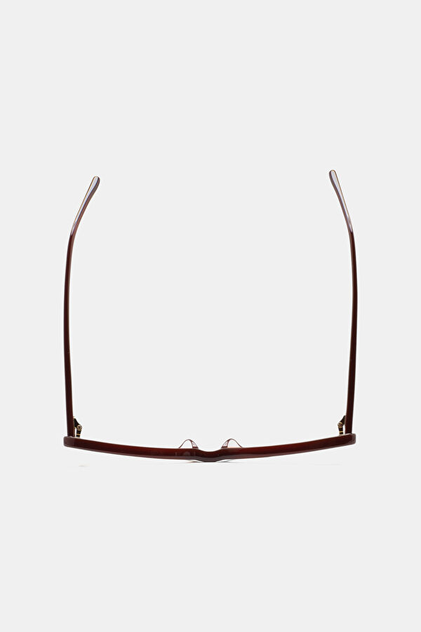 COBB Brown Sunglasses 53 3