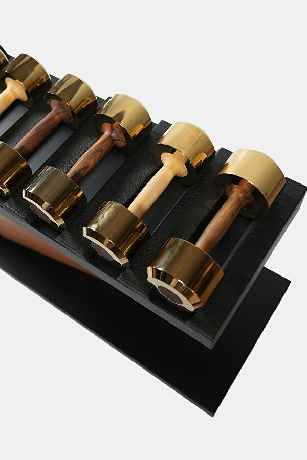 Dumbbell Set 12 Kg 2