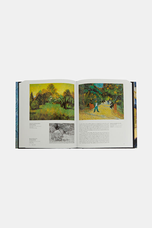Van Gogh: The Complete Paintings 6
