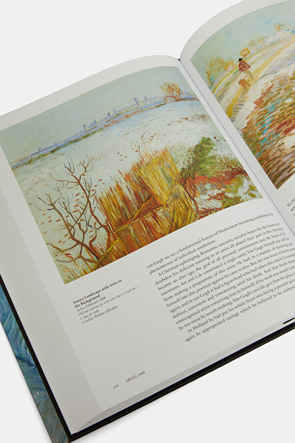 Van Gogh: The Complete Paintings 7