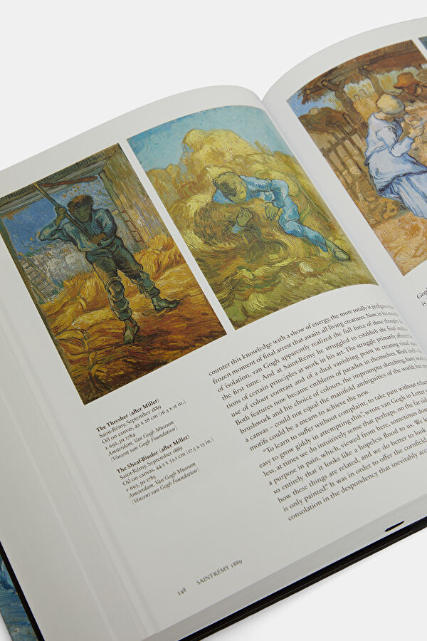 Van Gogh: The Complete Paintings 8