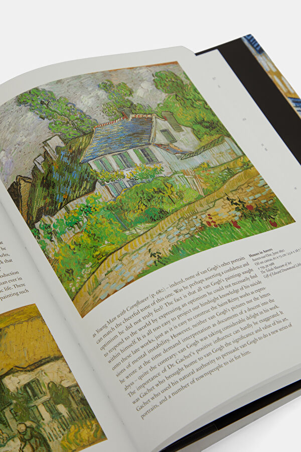 Van Gogh: The Complete Paintings 9