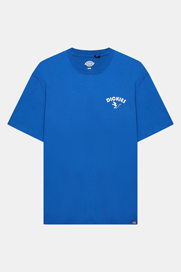 Mavi Erkek T-Shirt