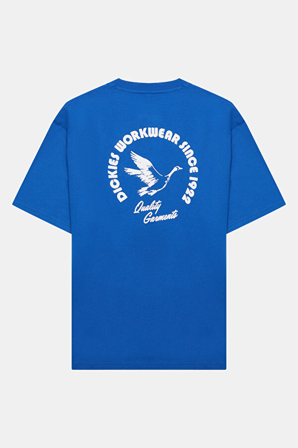 Mavi Erkek T-Shirt 2