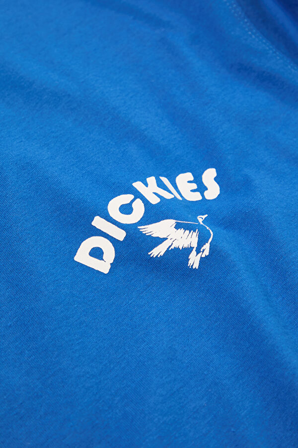 Mavi Erkek T-Shirt 4