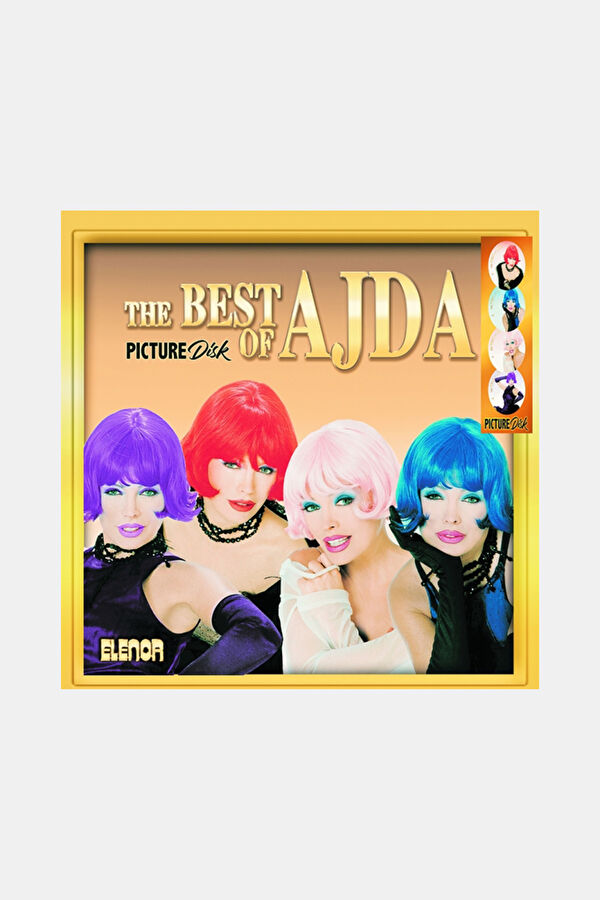 Ajda Pekkan - The Best Of(Picture) /2Lp