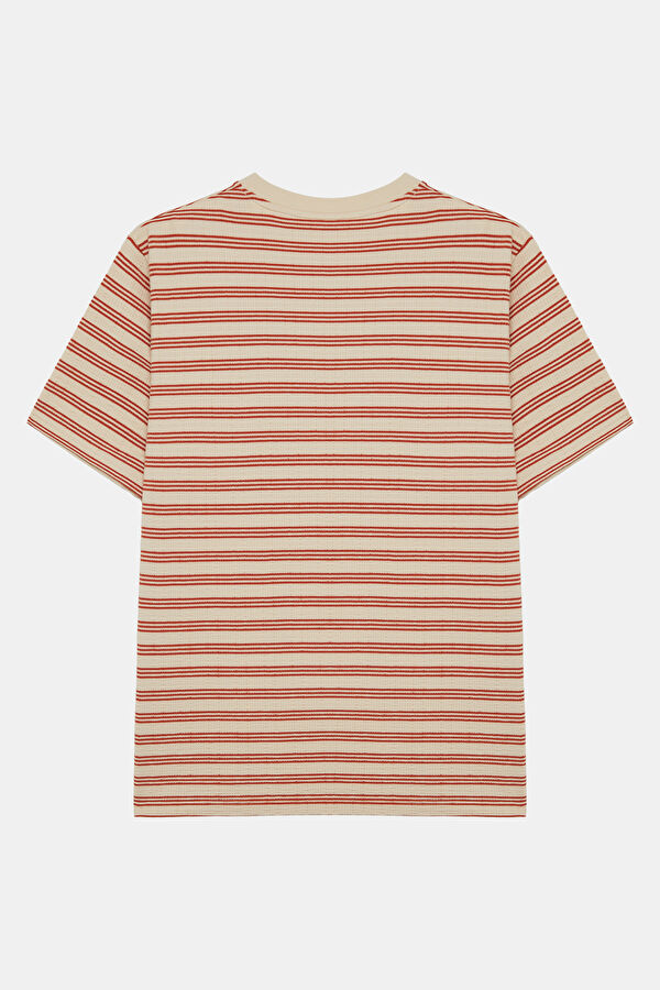 Rust Men's Crew Neck Striped T-Shirt 2