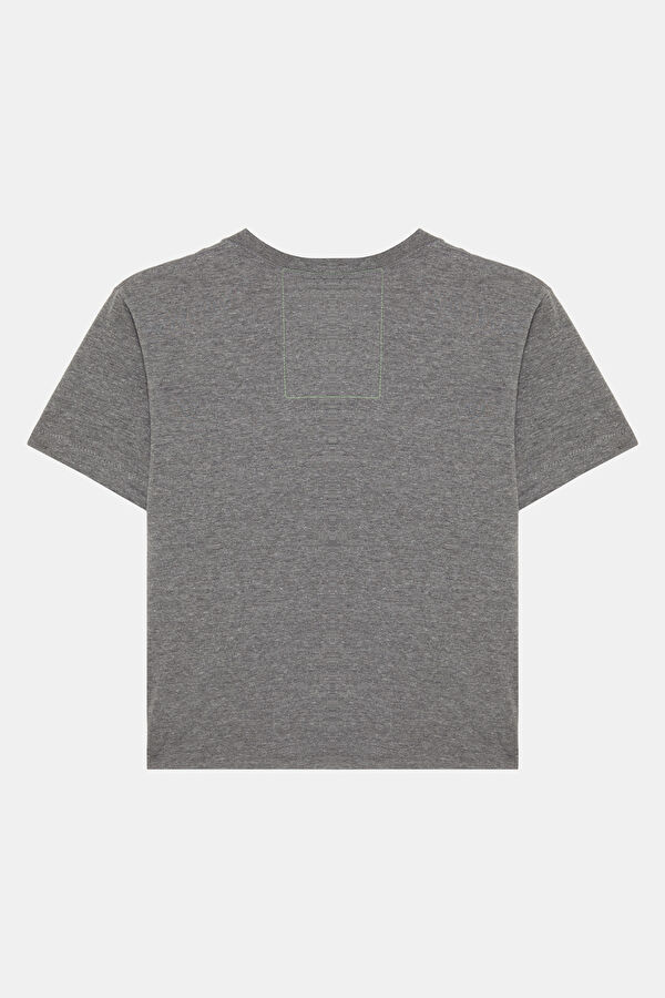 Gri Melanj Bisiklet Yaka Baskılı Kadın T-Shirt 2
