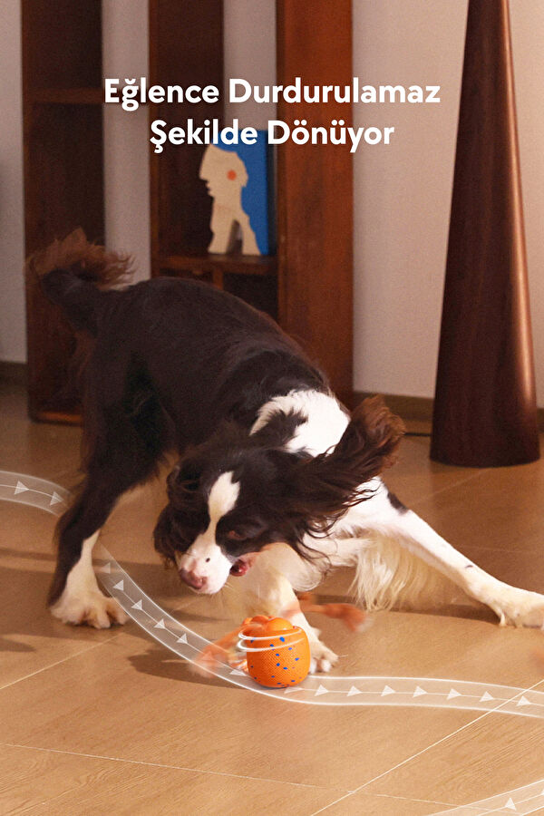 Wicked Ball Rolly Şarjlı İnteraktif Köpek Oyuncak Topu 5