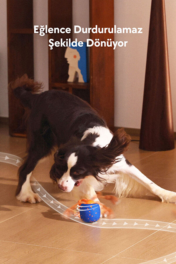 Wicked Ball Rolly Şarjlı İnteraktif Köpek Oyuncak Topu 5