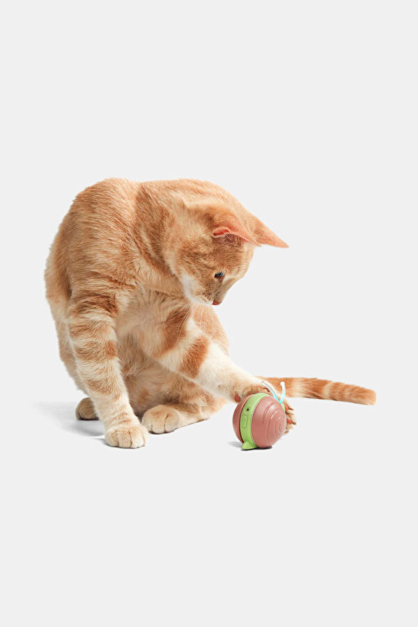 Wicked Snail Şarjlı Akıllı İneraktif Kedi Salyangoz Oyuncağı 7x5x5.8 cm 5