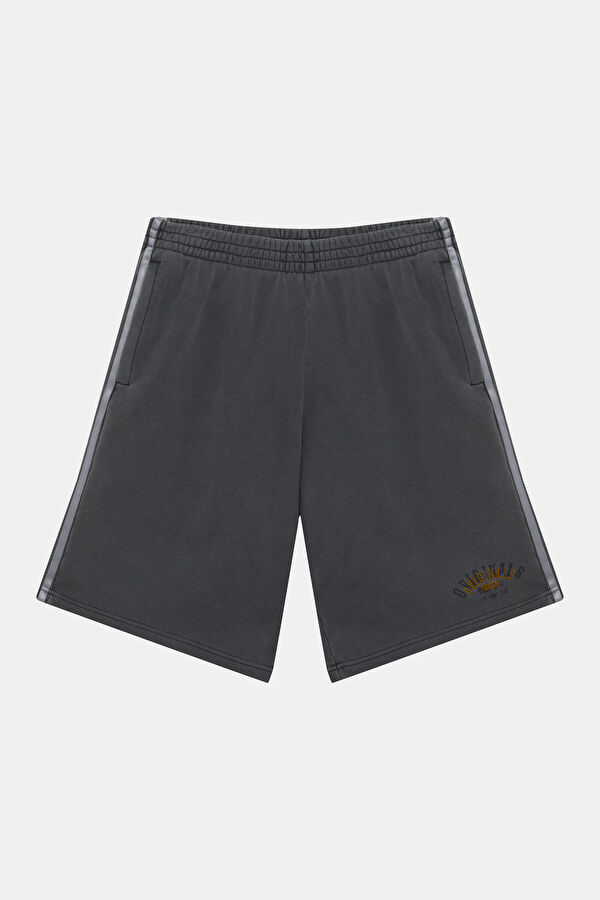 Anthracite Men's Shorts