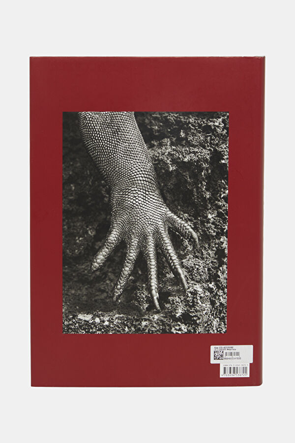 Sebastião Salgado. Genesis 3