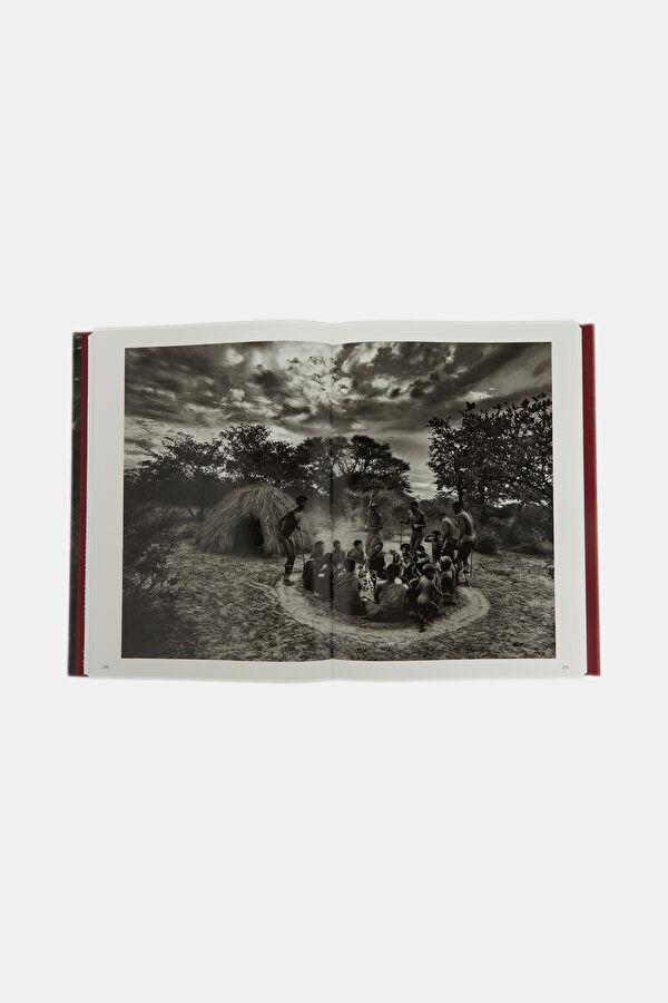 Sebastião Salgado. Genesis 5