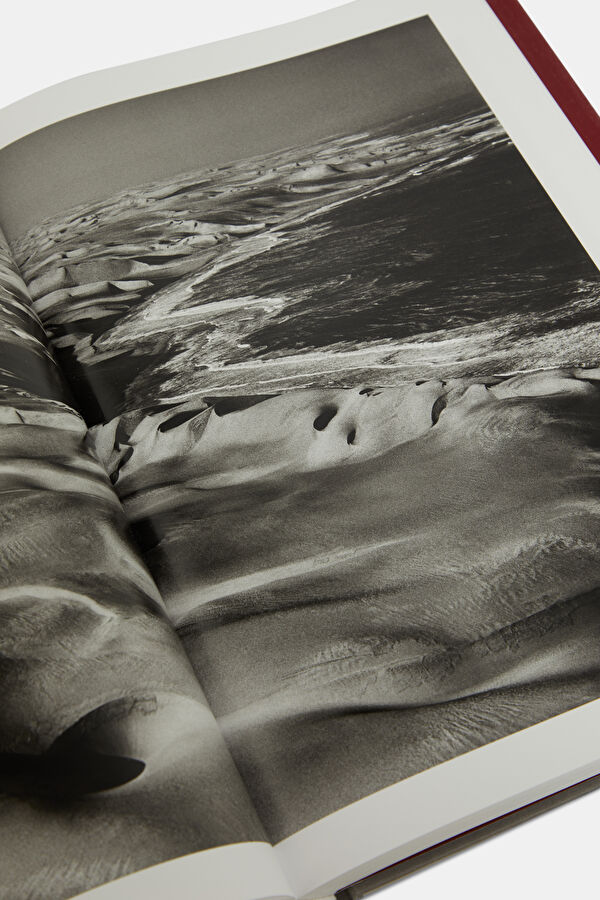 Sebastião Salgado. Genesis 7