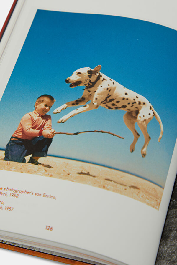 Walter Chandoha. Dogs. Photographs 1941 7