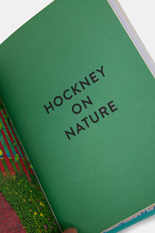 The World According to David Hockney 6