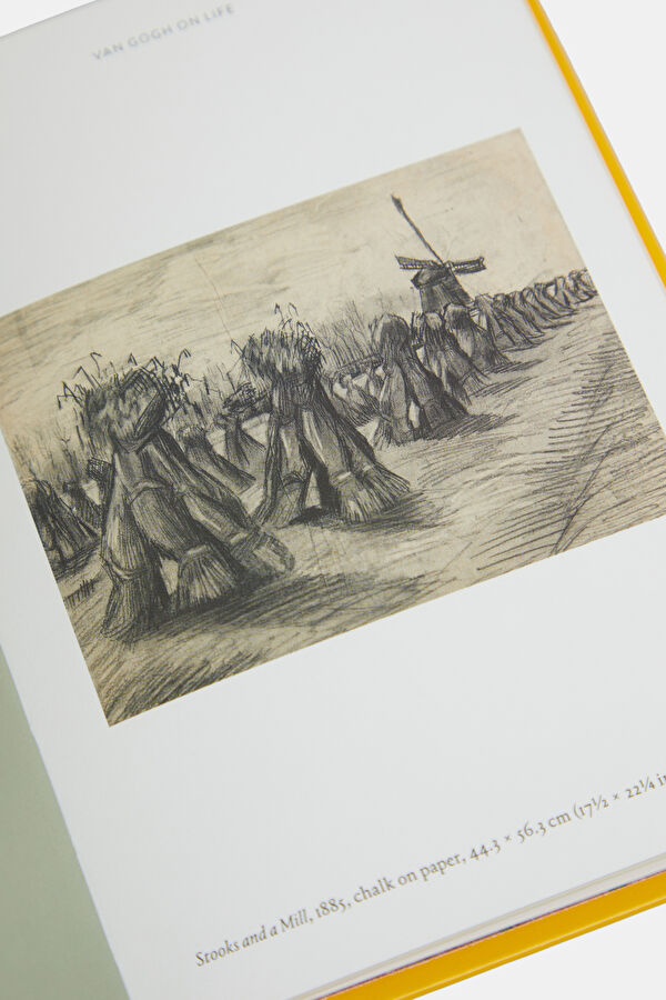 The World According to Vincent van Gogh 9