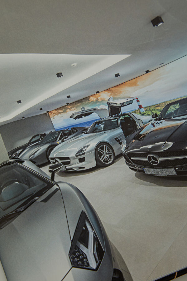 Houses and Cars: Where Dreams Park 8