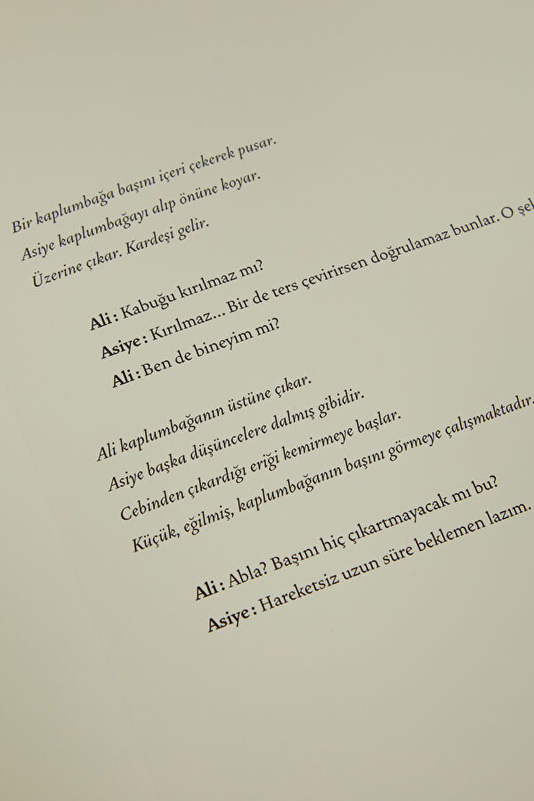Nuri Bilge Ceylan: Sinemaskop Türkiye 6